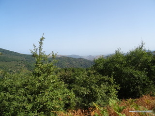 Malabotta Faggita
